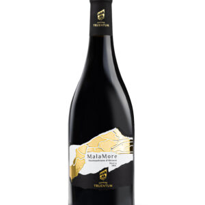 Malamore Montepulciano D'Abruzzo DOC Riserva 750ml